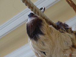 Tiergarten Schönbrunn am 23.03.2023